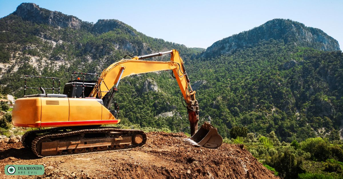 Land disturbance and ecosystem destruction