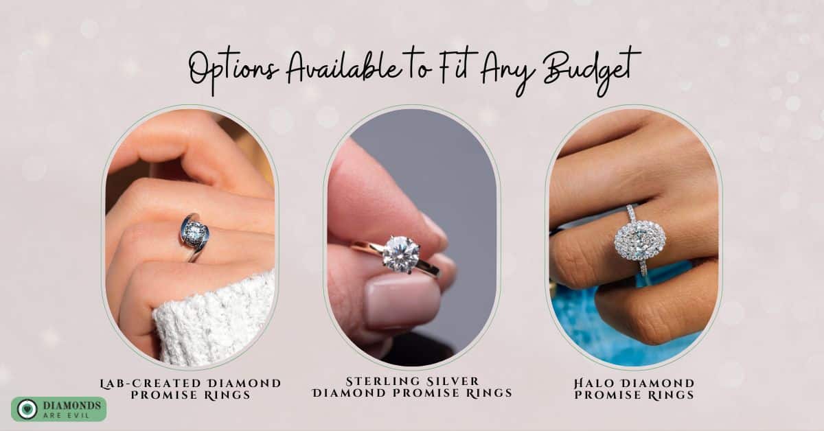 Options Available to Fit Any Budget