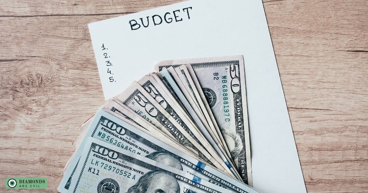Budget and cost considerations