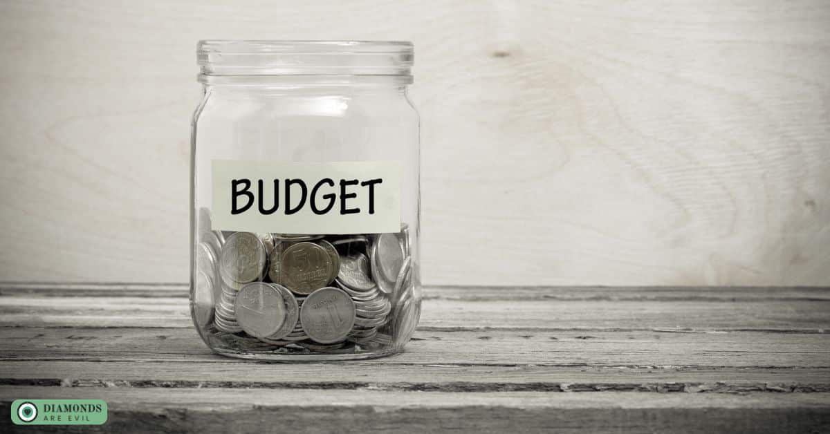 Budget
