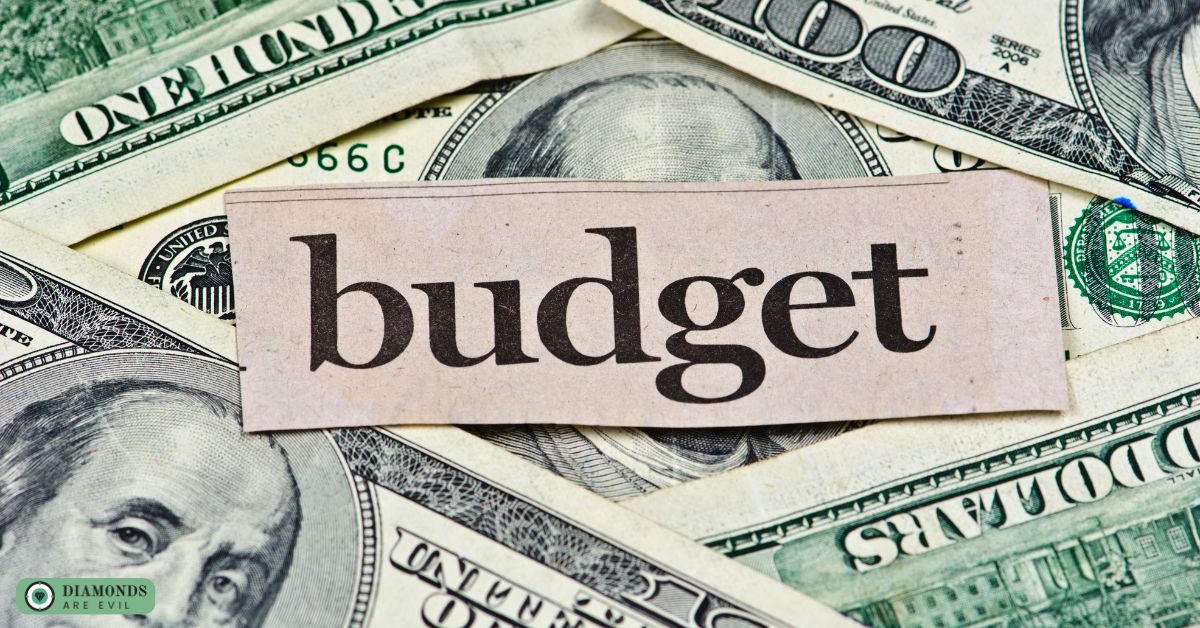 Budget