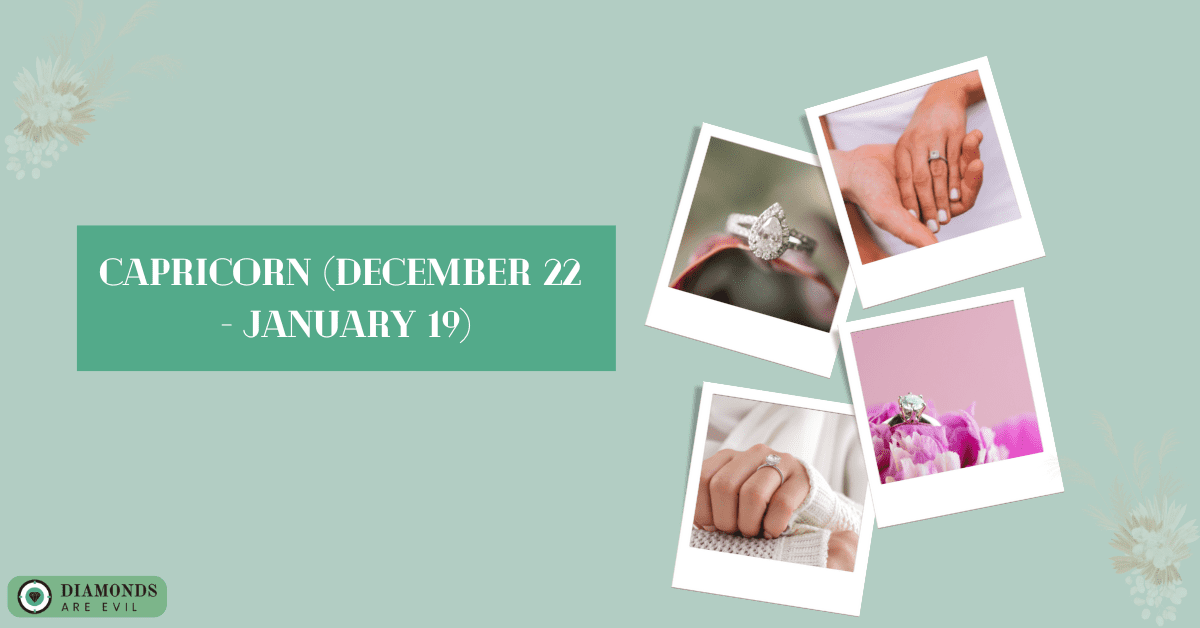 Capricorn (December 22 - January 19)