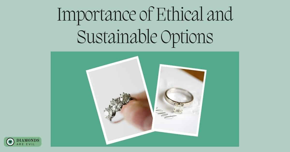 Importance of Ethical and Sustainable Options