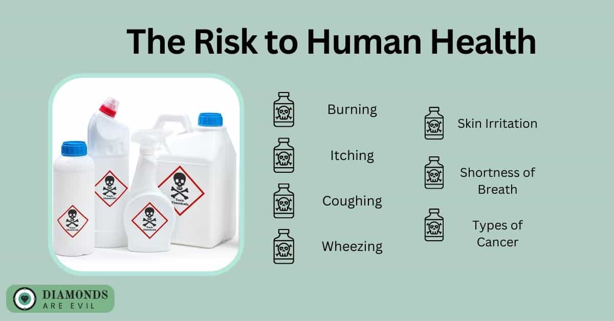 The Risk to Human Health
