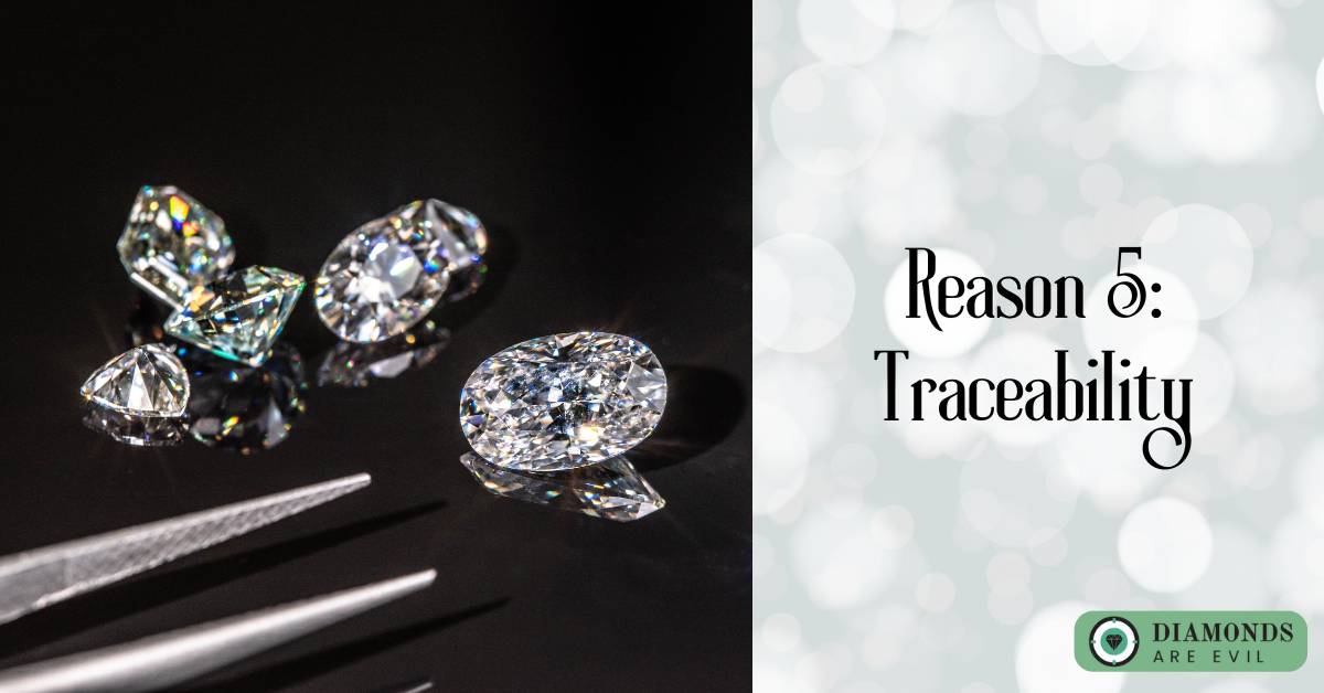 Reason 5: Traceability