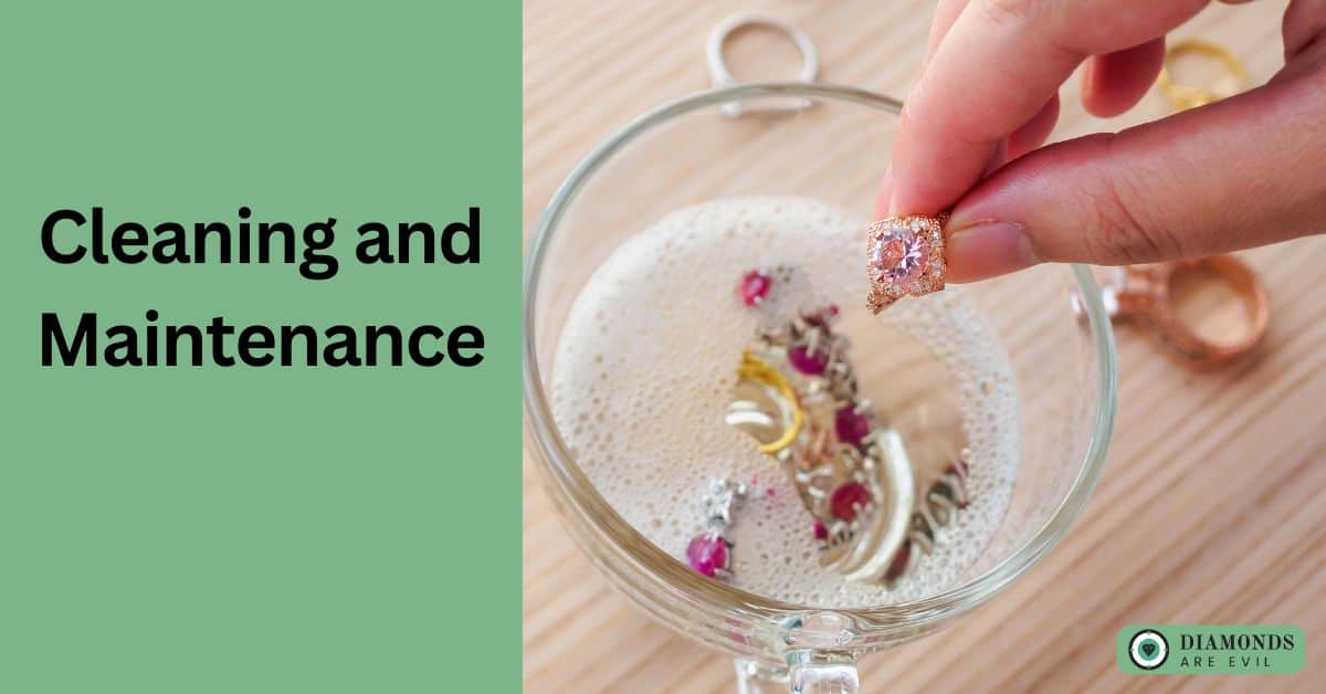 Cleaning and Maintenance