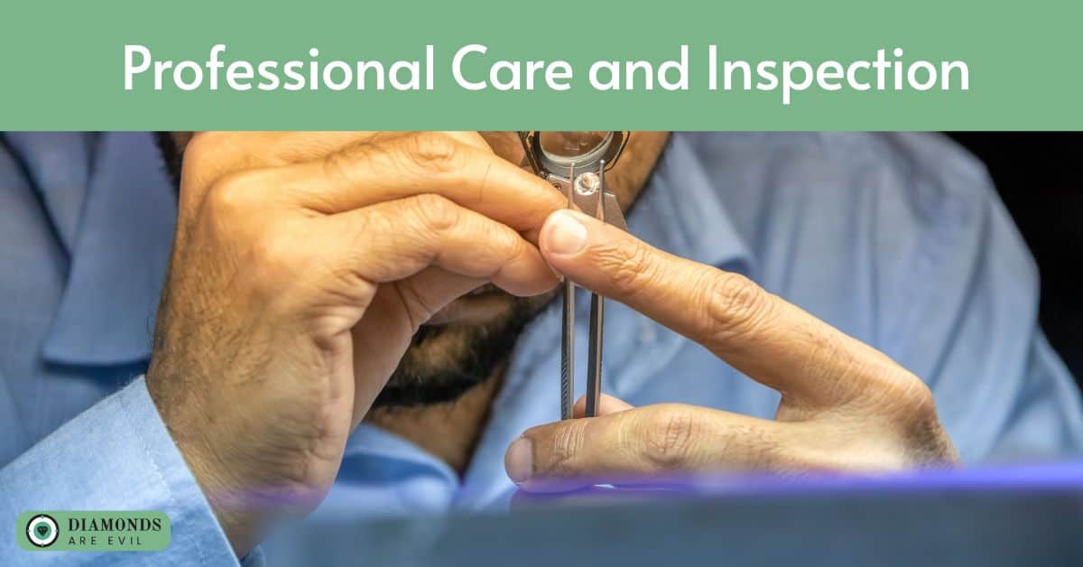 Professional Care and Inspection