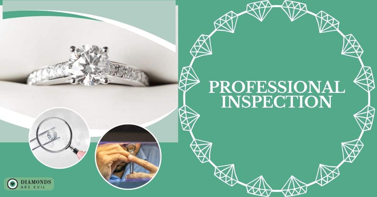 Professional Inspection