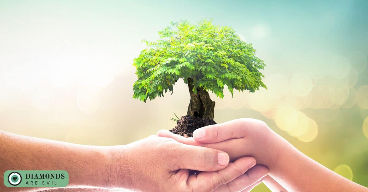 Environmental and Social Responsibilities2