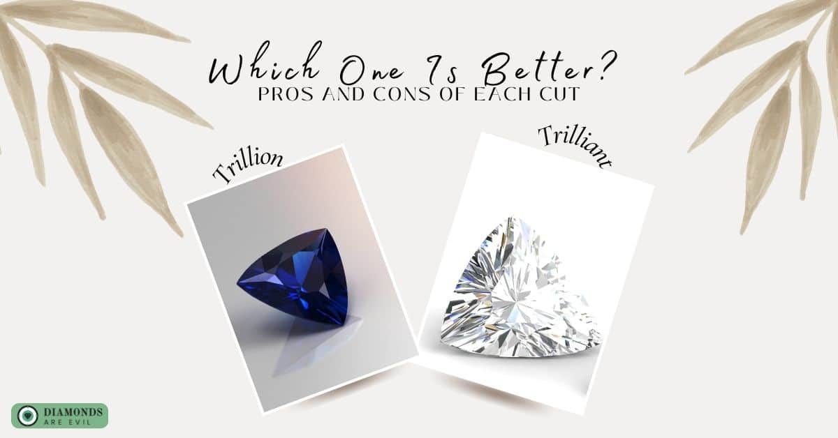 Which One Is Better_ Pros and Cons of Each Cut